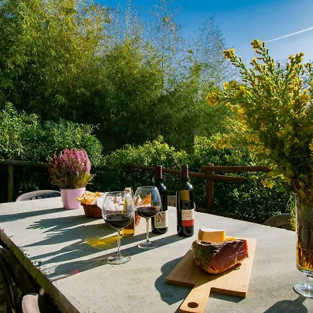 Merlot By Interhome Holiday home *